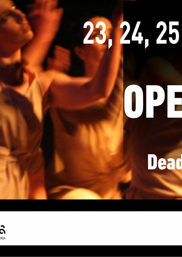 mafra_dance_festival___open_call___banner