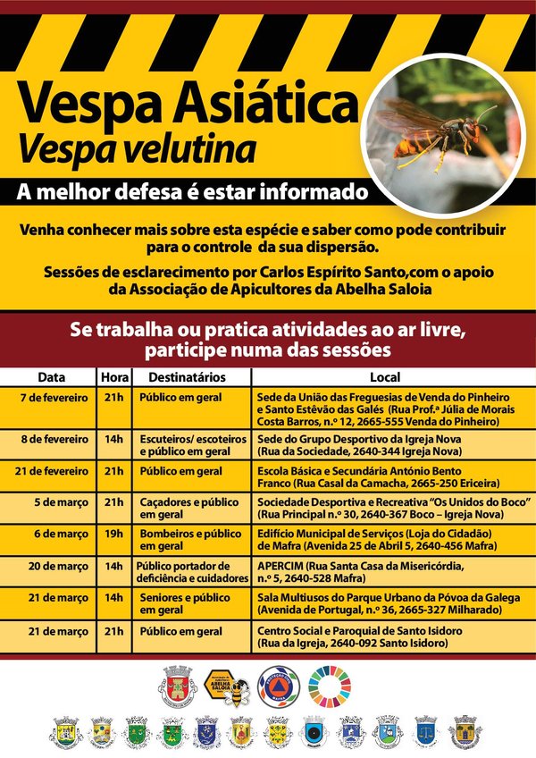 sessoes_vespa_asiatica