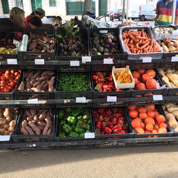 00437_05_mercado