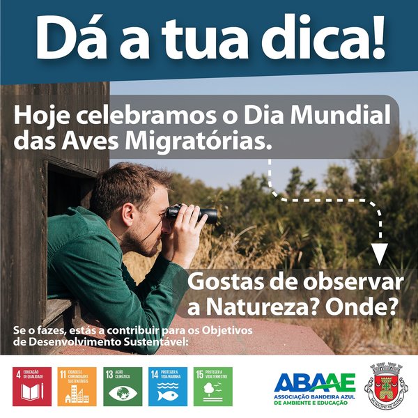 Dica 3 - Dia Mundial das Aves Migratórias 
