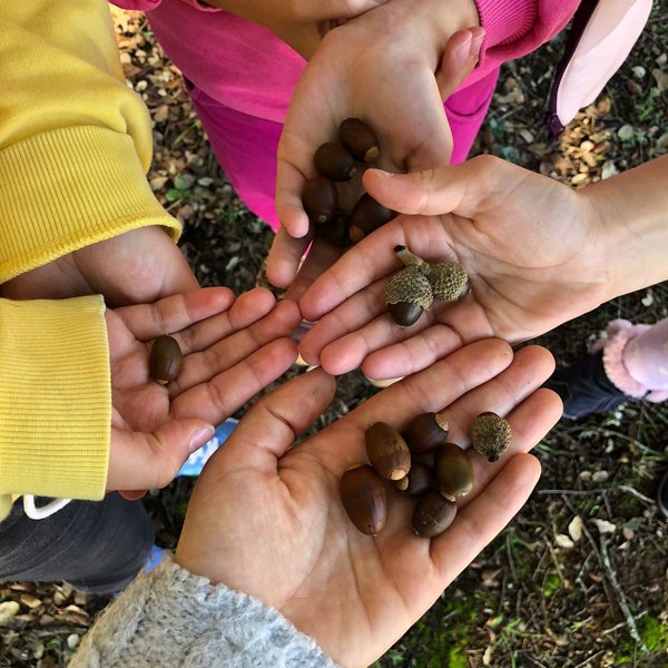 Sensibilização e Educação Ambiental