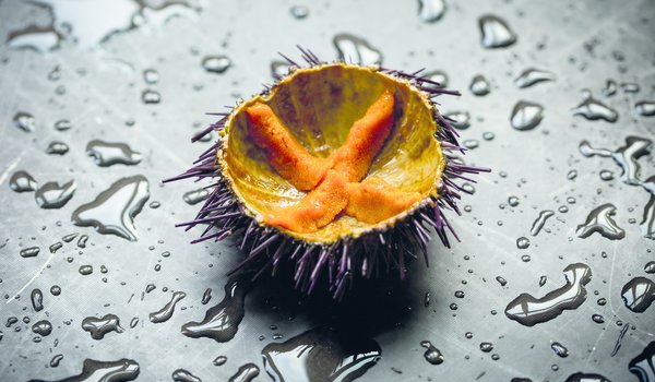Gastronomia e Vinhos