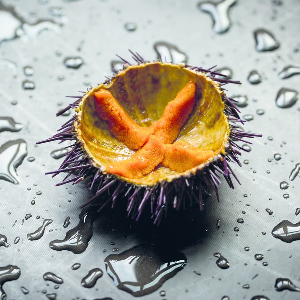 Gastronomia e Vinhos