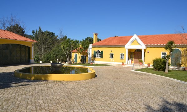 quintavitae10