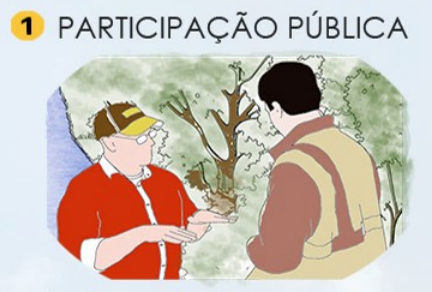 Participação Pública