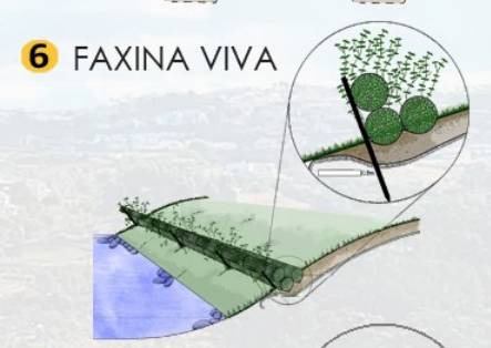 Faxina Viva